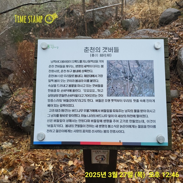 춘천의 갯버들 안내표지판0